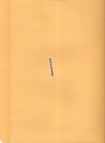 40# FILE ENVELOPE-BLANK  